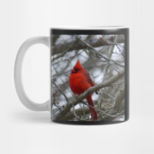 Winter Cardinal Photography Art Beautiful Heaven Sent Messenger Male Red Cardinal Mug